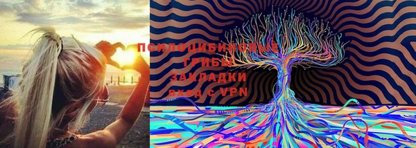 MDMA Новозыбков
