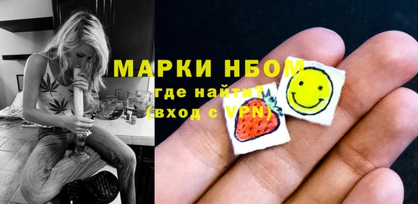 хмурый Алзамай