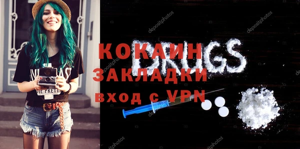 хмурый Алзамай