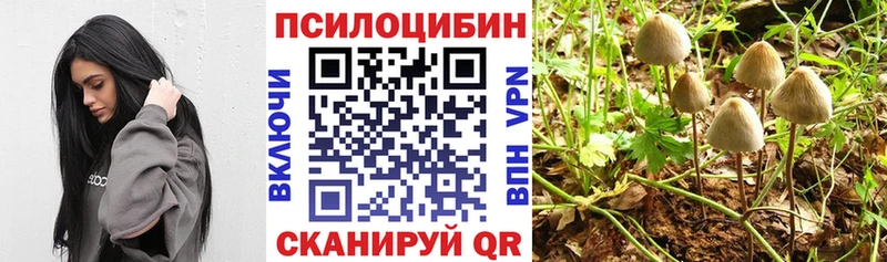 закладка  Тольятти  Псилоцибиновые грибы мицелий 