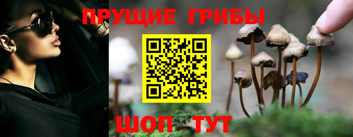 Тольятти  Псилоцибиновые грибы прущие грибы  Вход с VPN 